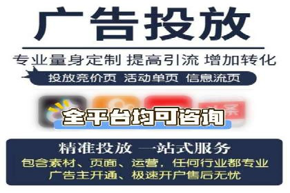 某知名品牌SEM运营策略及效果评估
